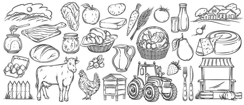 Farm to table rustic set with fruits, vegetables, dairy, bread, farm animals, tractor and rural elements. Monochrome outline engraving style, vintage hand drawn collection. Vector illustration.