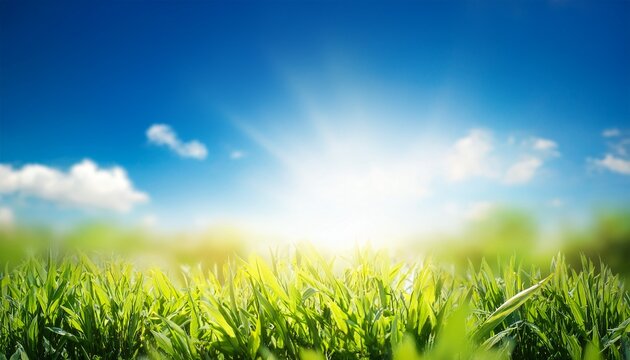 a fresh spring blue sunny sky background with blurred warm sunny glow