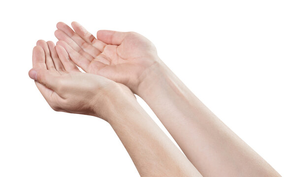 Two cupped hands held open to receive something, isolated on transparent cutout background