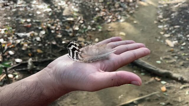 A young boy holds a feather that gently sways and floats in the wind, symbolizing mindfulness, freedom, and letting go. Perfect for meditation, wellness, and nature-inspired content.