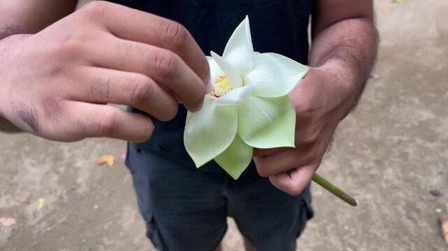 A young Asian boy gently blooms and holds a white lotus flower in his hands, symbolizing mindfulness, purity, and spiritual devotion. ideal for meditation, wellness, and Buddhist worship themes