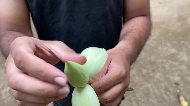 A young Asian boy gently blooms and holds a white lotus flower in his hands, symbolizing mindfulness, purity, and spiritual devotion. ideal for meditation, wellness, and Buddhist worship themes