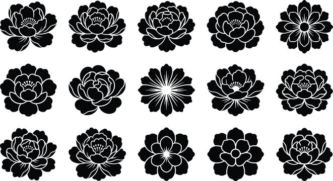 Black and white floral pattern with intricate rose motifs
