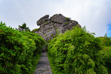 Obraz premium A stone path leads through green bamboo forests toward a large rocky mountain peak in the Shennongjia Forestry District of China under a cloudy sky
