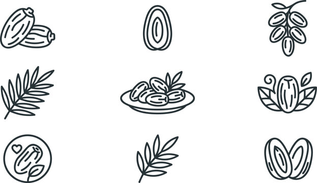 Dates fruit line icon set featuring sweet snack food palm leaves branch halves plate organic premium quality emblems and ramadan traditions vector outline elements