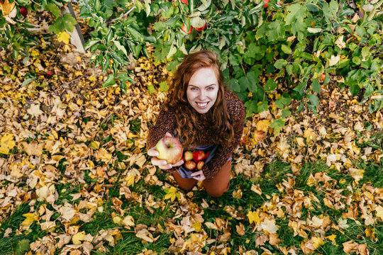 Joyful freckled red-haired woman offering fresh apple during autumn harvest in orchard