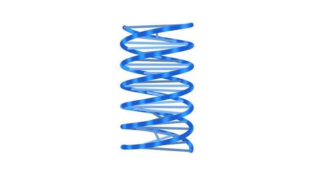 Rotating DNA double helix molecule blue on white seamless loop 4K medical background