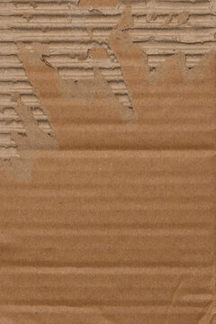 grunge torn cardboard box texture