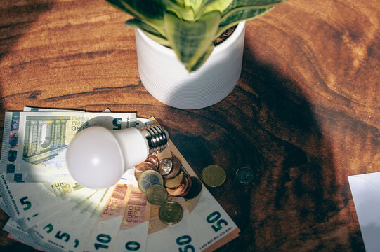 High angle view of an LED light bulb lying on Euro banknotes and coins next to a potted plant, symbolizing energy costs and electricity inflation.