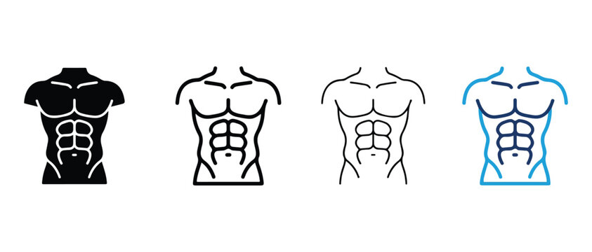 muscular male torso with six pack abs and various colors and outlines on white background  simple flat style