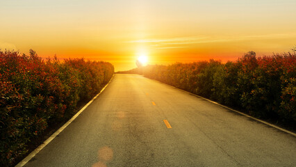 Fototapeta premium Empty asphalt road leading toward a glowing golden sunset surrounded by lush roadside bushes.