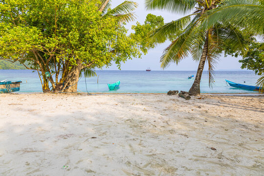 The beach scene with boat under palm tree