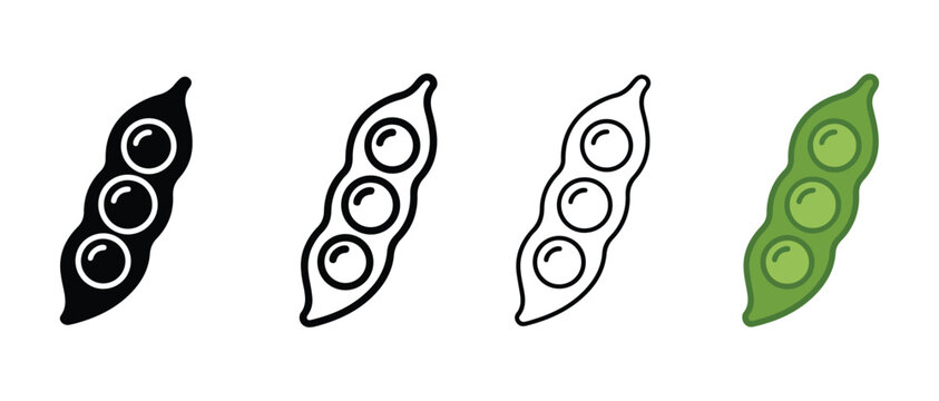 Pea pods in different colors and styles for food and vegetable concepts  peas in pods