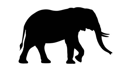 Elephant Silhouette On White Background Minimalist Animal Shape © Bismillahadobe