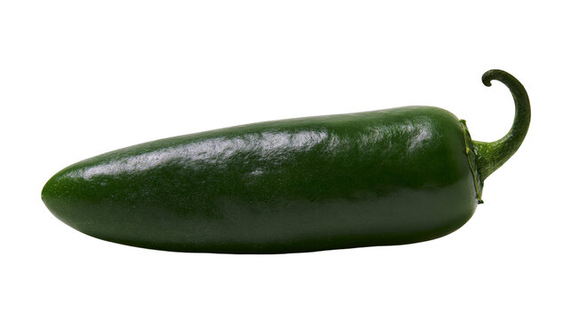 Single ripe green jalapeno pepper with curved stem, isolated on transparent background