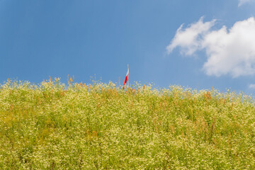 Polish national flag on the Pilsudski Mound in Wolski Las in Krakow, Poland © Aneta