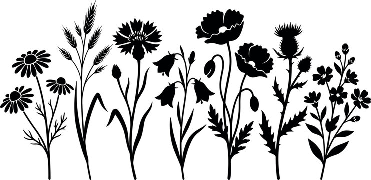 Wildflower Meadow Silhouette Vector Set with Daisy Poppy Cornflower Bluebell Chamomile and Thistle Floral Elements for Elegant Botanical Borders