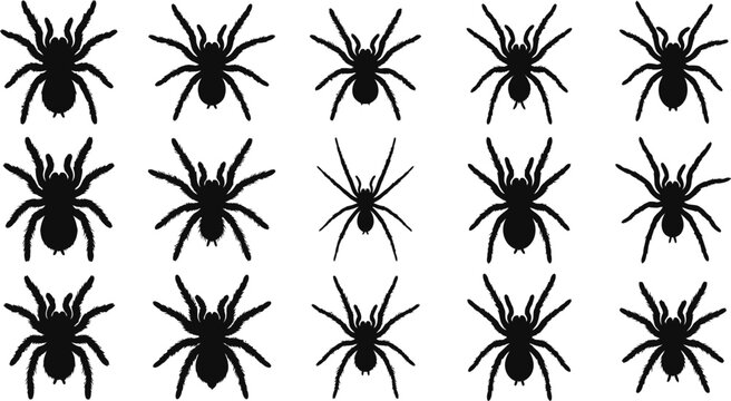 Halloween Spider Silhouettes SVG Bundle, Creepy Tarantula Spider Clipart, Spooky Arachnid Vector Collection, Horror Halloween Spider Icons For Cricut, Sublimation, Laser Cut And Printable Crafts