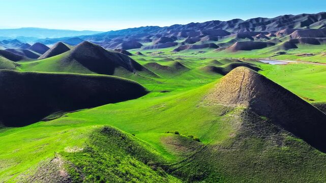Aerial view of rolling green hills and dramatic mountain ridges under a clear blue sky in Xinjiang, China.