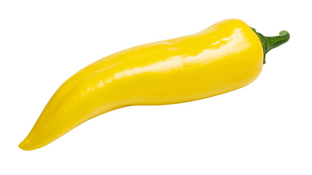 Bright yellow chili pepper with green stem, isolated on transparent background