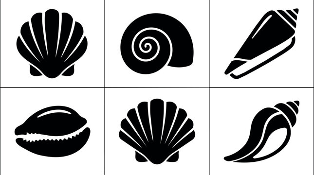 Black and white shell collection vector art set with seashell icons