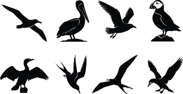 Collection of black seabird silhouettes featuring pelican puffin seagull cormorant and albatross vector icons
