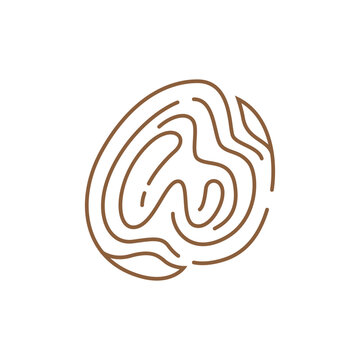 Wood grain logo with letter W inside