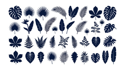 Tropical leaves vector collection, exotic foliage silhouettes, jungle leaf design elements. Botanical plant illustrations for summer, vacation, and nature-themed projects. © Syed Awais