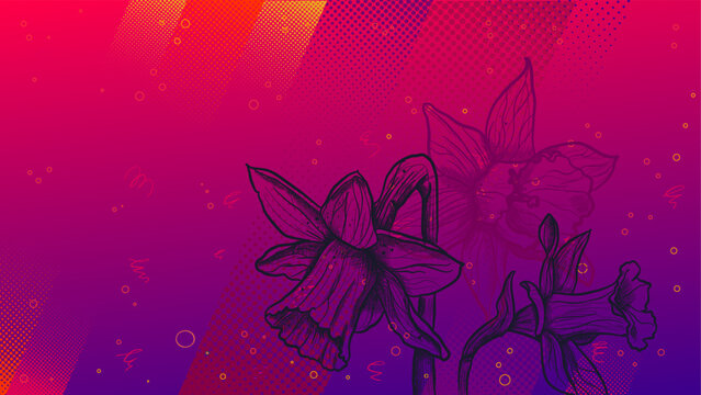 Line art daffodil flowers on red and purple gradient background