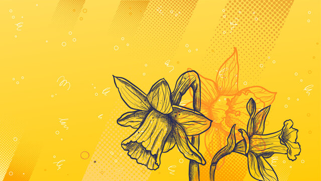 Line art daffodil flowers on yellow background