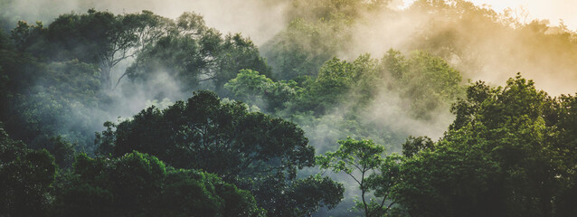 clouds over the mountains. panorama banner background of tropical forest landscape scene for using in concept of environmental ecology and sustainable energy or Earth day, wild wood scenic using for. © Luis