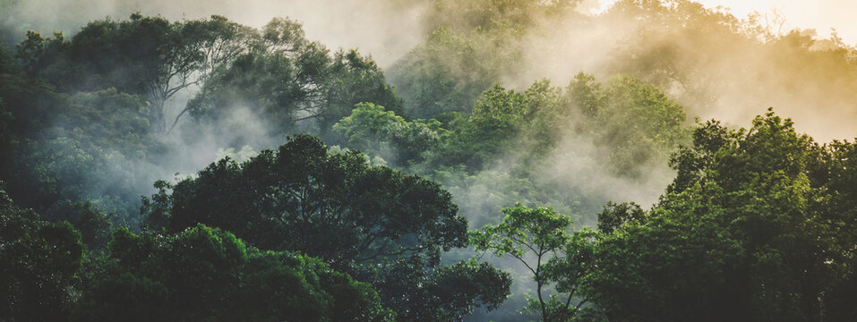 clouds over the mountains. panorama banner background of tropical forest landscape scene for using in concept of environmental ecology and sustainable energy or Earth day, wild wood scenic using for.