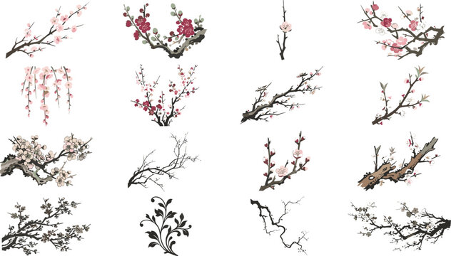 Japanese Cherry Blossom Branch Collection with Plum Flowers, Sakura Twigs, Floral Botanical Elements and Traditional Asian Spring Nature Vector Set