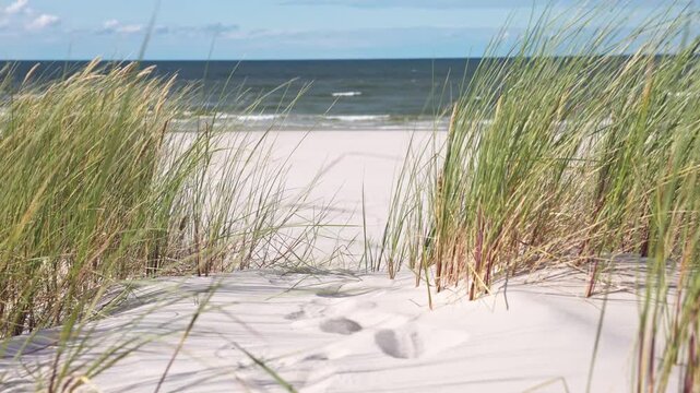 Baltic Sea beach with sand dunes and marram grass.