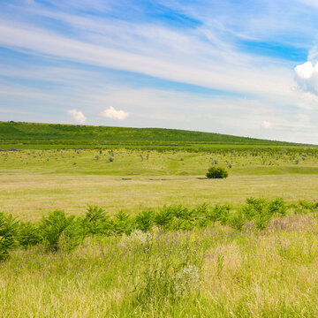 Scenic landscape of a lush grassy field and rolling hills under the bright summer sky