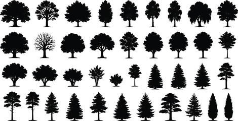 Coniferous Forest Tree Silhouette Set Isolated on White Background Vector Collection Transparent Background © Mohammod Foysal SSF.