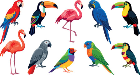 Obraz premium Exotic Tropical Birds Vector Icon Set Featuring Colorful Macaw, Toucan, Flamingo, African Grey Parrot, and Gouldian Finch for Wildlife Nature Designs