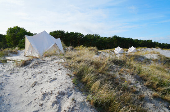 White tents at a campground at baltic sea dunes Darss Peninsula