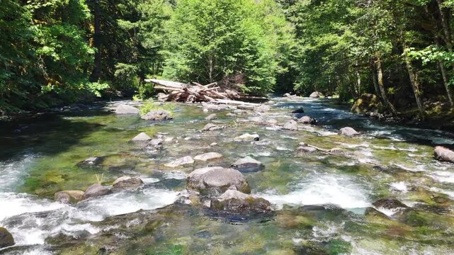 Clear water flows down the Clackamas River in Northwestern Oregon, not far from Salem. Originating in the Mt. Hood National Forest, this beautiful 83-mile river is a tributary to the Willamette River.