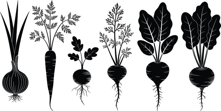 Detailed black silhouette set of garden root crops including onion, carrot, radish, and beetroot with lush leafy tops for organic farming logos