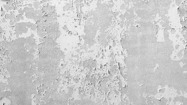 Distressed white peeling paint on concrete wall texture background. Abstract weathered gray plaster surface with cracks and flakes, ideal for grunge vintage backdrop or design layouts.