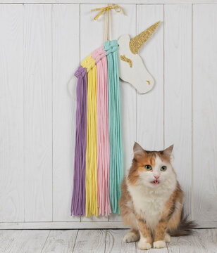 Beautiful lifestyle product photography featuring a fluffy domestic cat by a nursery decoration. Cozy children bedroom layout with colorful cotton thread unicorn mane ornament.