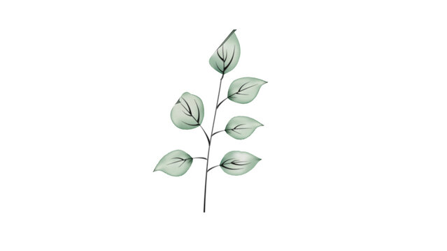 Botanical Micro Element 01
