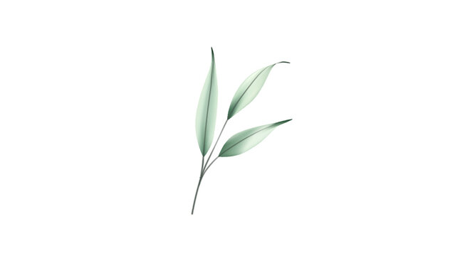 Botanical Micro Element 04