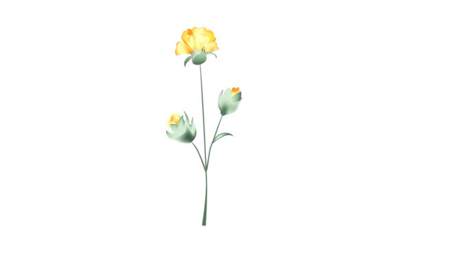 Botanical Micro Element 07