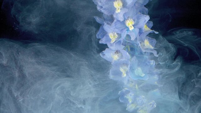 Vertical blue delphinium stem stands at right side, yellow centers glowing in cool light while pale smoke curls through dark background and softens lower blooms in serene floral composition