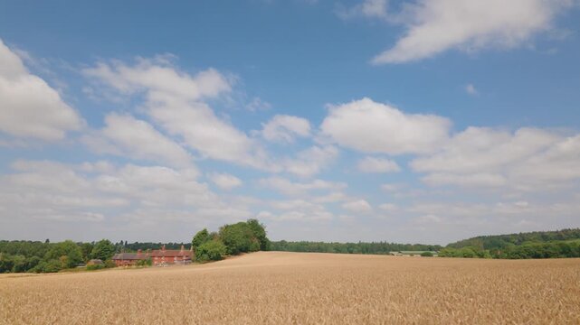 A dolly style right to left shot of a wheat field in the countryside creating a parallax effect