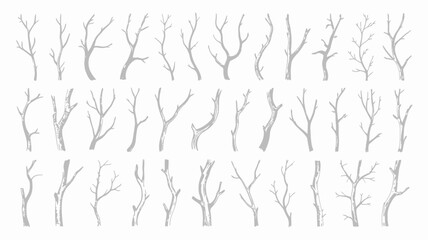 Obraz premium Gray Bare Tree Branches Isolated on White Background, Various Shapes and Sizes, Vector Illustration with branch silhouettes and branch illustrations and minimalistic design in simple