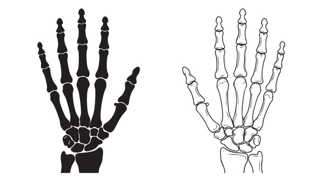 hand x-ray black silhouette with line art vector illustration