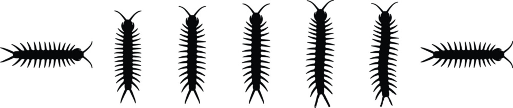 Black Centipede and Millipede Silhouette Vector Icon Set Featuring Creepy Crawly Myriapod Insects with Many Legs for Pest Control and Nature Wildlife Designs